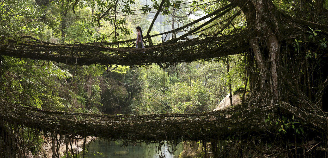 Meghalaya